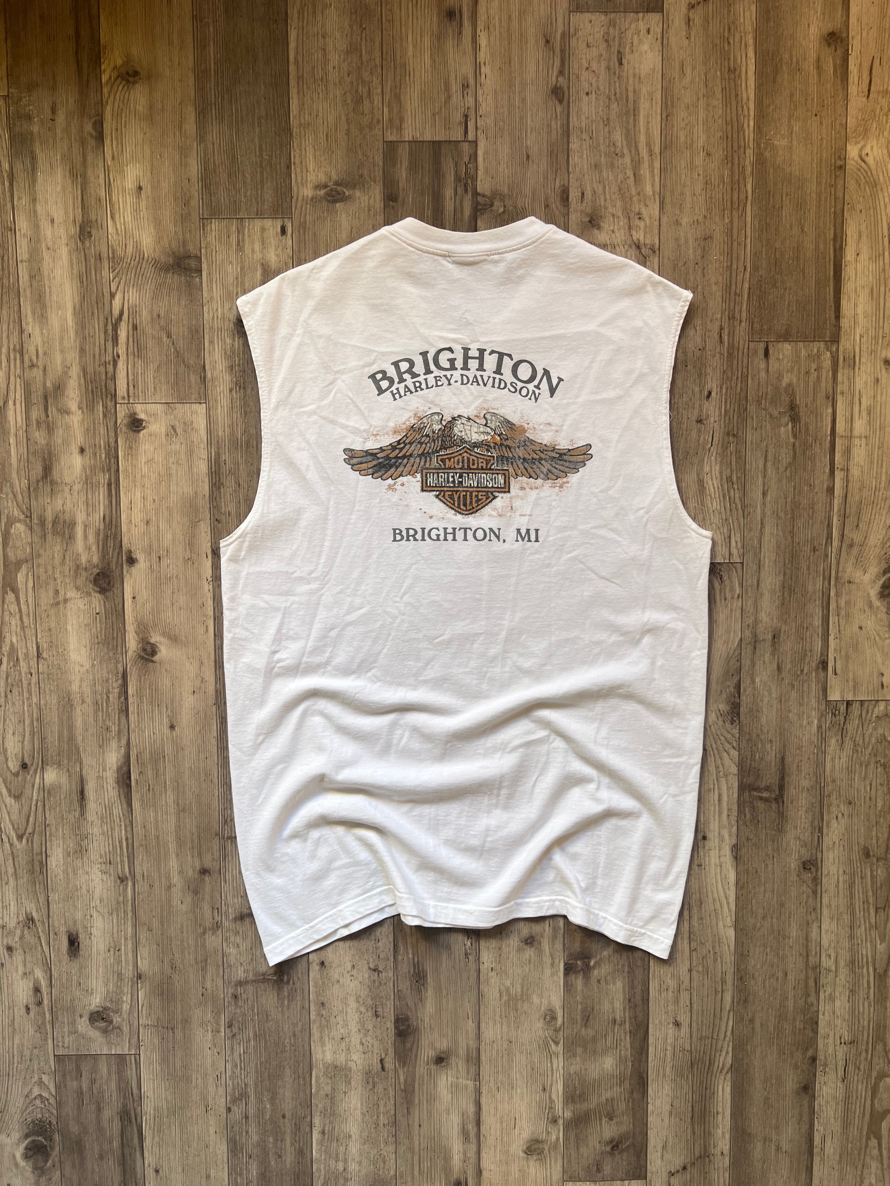 Harley Davidson 2006