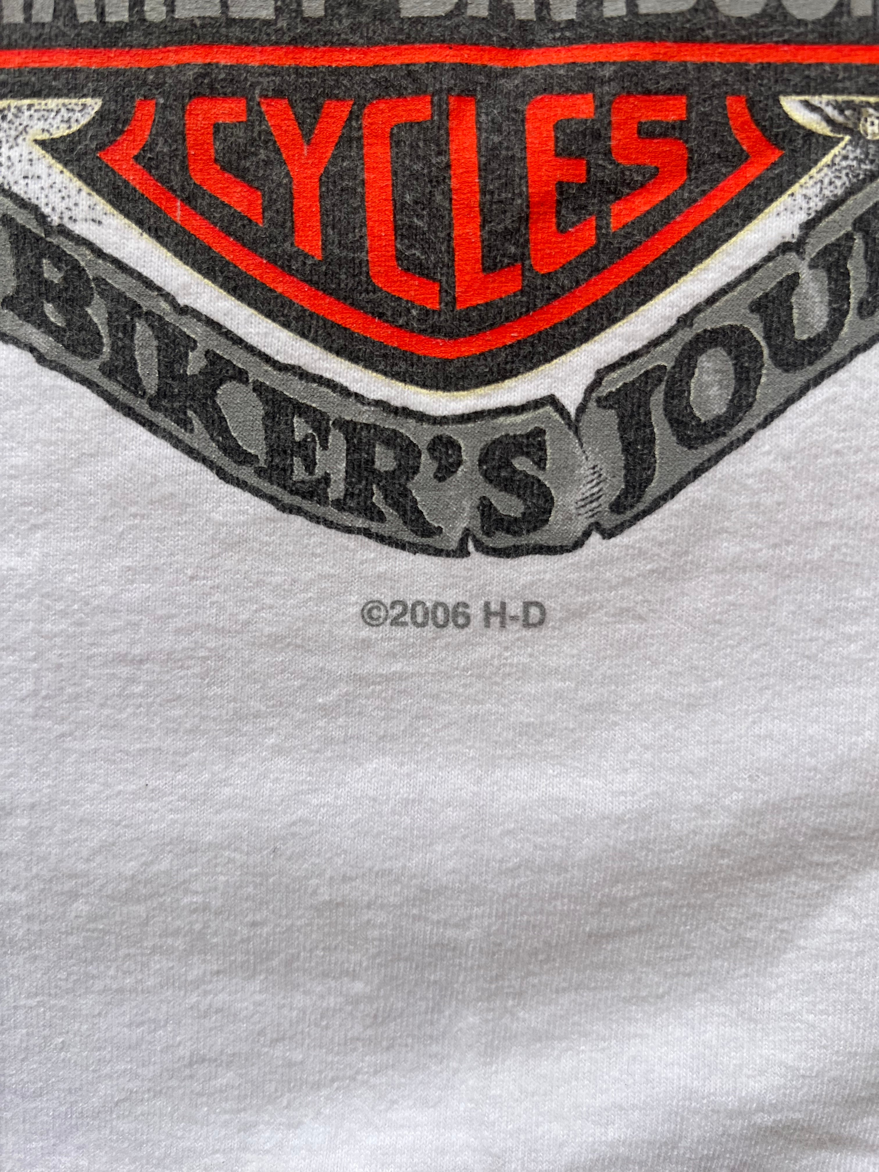 Harley Davidson 2006