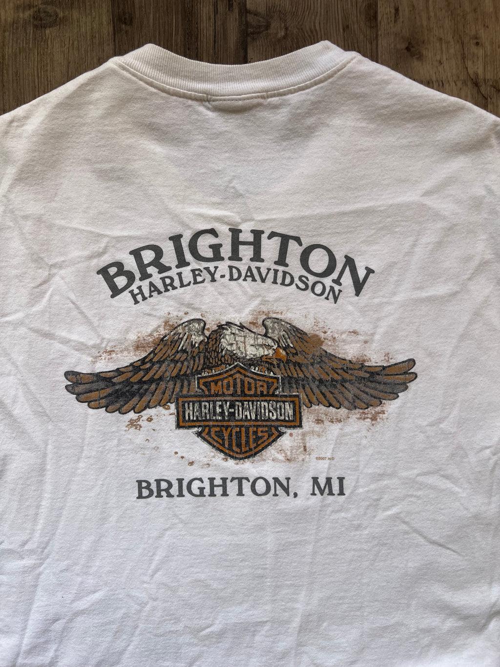 Harley Davidson 2006